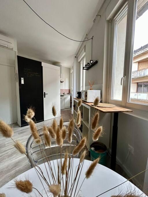 Le 25 / Hypercentre Apartment Toulouse Bagian luar foto